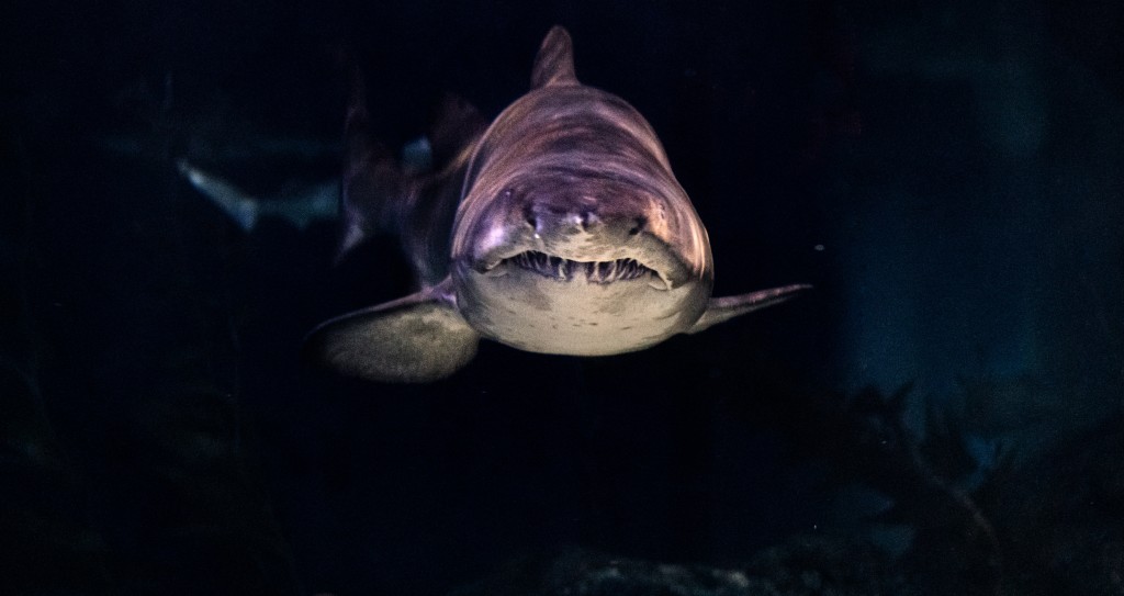 In The News: Advocates Condemn Rent-a-Bank Rule that Encourages Predatory High-Cost Loans